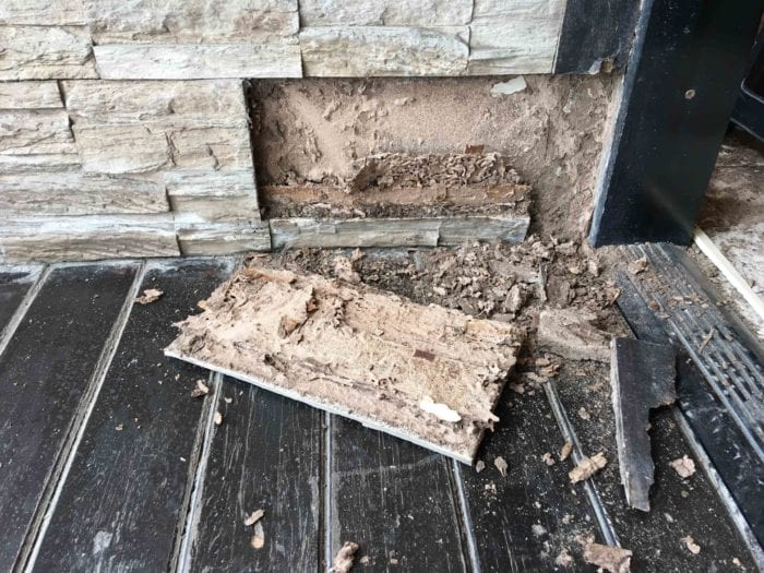 Termite-Problems-in-Home-Killingsworth-Environmental-e1536872141441.jpg