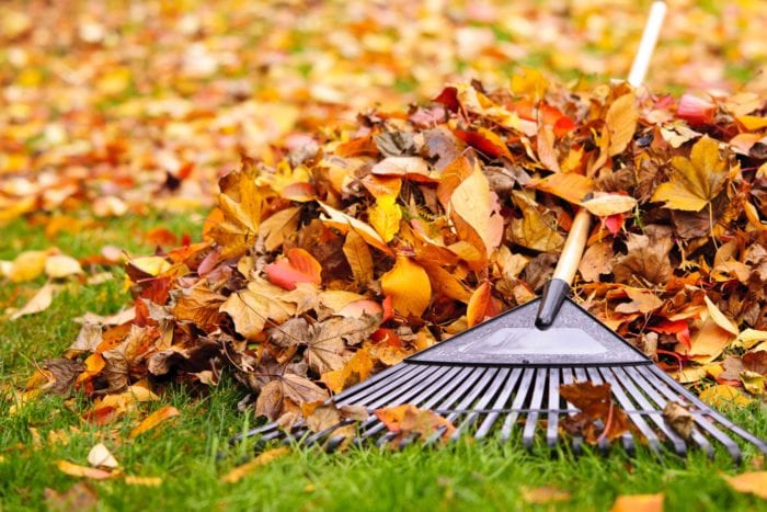 fall-yard-maintenance-killingsworth-environmental