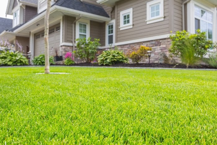 green-lawn-and-home-killingsworth-environmental-charlotte-nc-e1536872882519