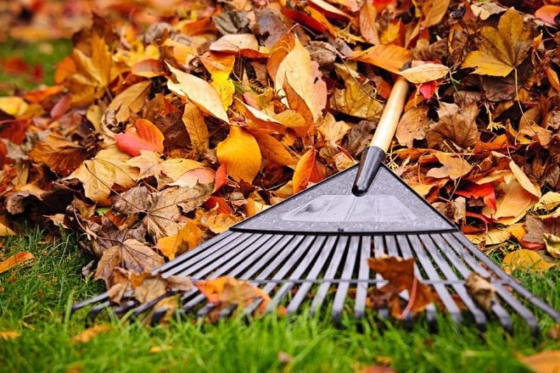 killingsworth-environmental-fall-lawn-care