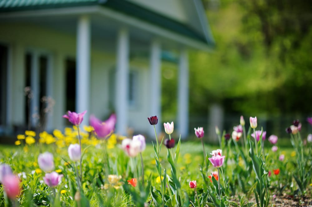 killingsworth-environmental-how-to-prepare-your-home-for-spring