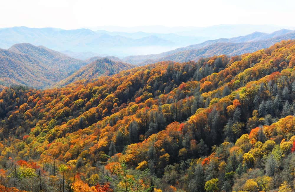 killingsworth-fall-colors-carolinas