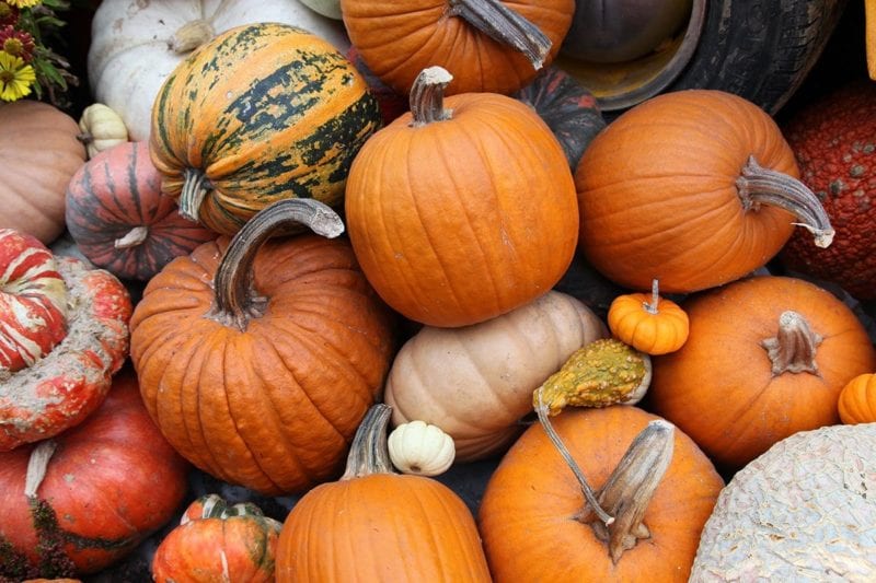 kwe_fall_pumpkin_recipes