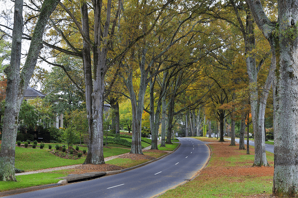 Pest Control Mecklenburg County NC