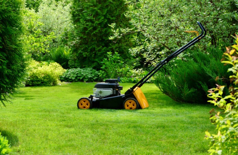 mower