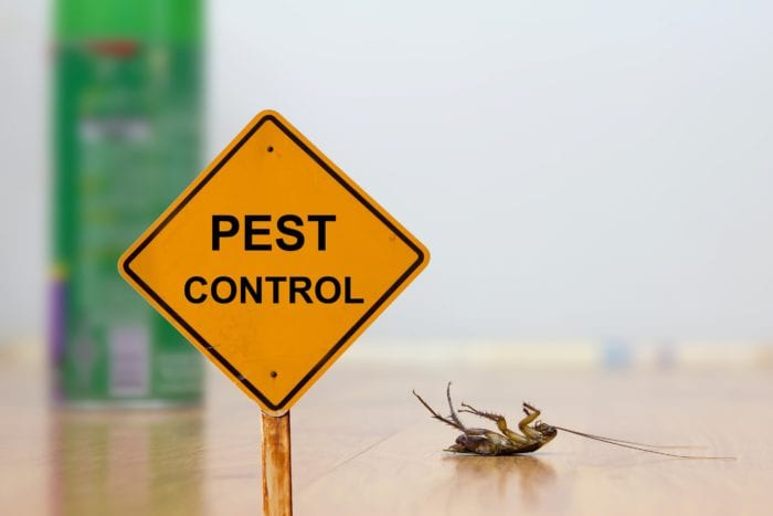 pest-control-sign-killingsworth