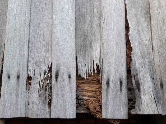 termite-infected-wood-planks-killingsworth-environmental-charlotte